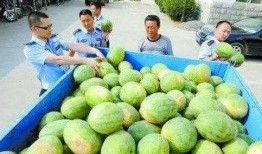 武都网红 吃瓜群微信,揭秘“吃瓜群”微信背后的故事